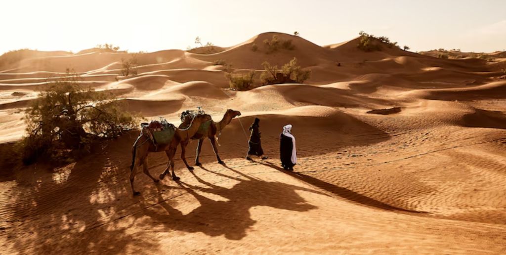 Jizan Saudi Arabia