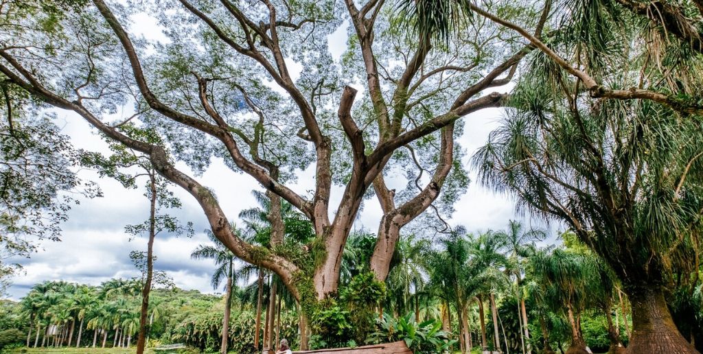 Barquisimeto Venezuela