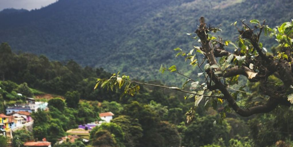 Ibague Colombia